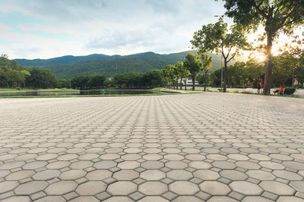 Best Driveway Paving Contractor  in Lilburn, GA
